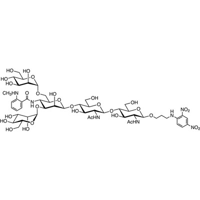 MANT-M3GN2-DNP&gt;98.0%(HPLC)1mg