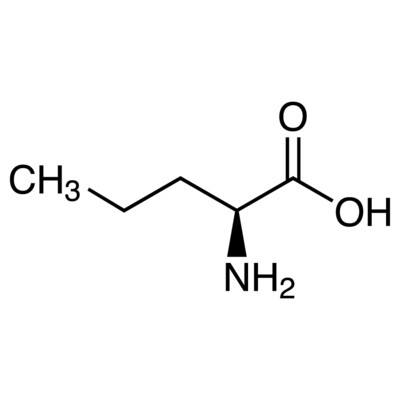 L-Norvaline&gt;99.0%(T)1g