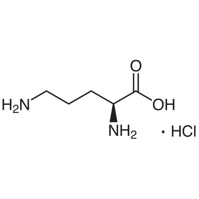 L-Ornithine Monohydrochloride&gt;98.0%(HPLC)(T)250g