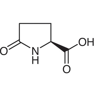 L-Pyroglutamic Acid&gt;97.0%(T)100g