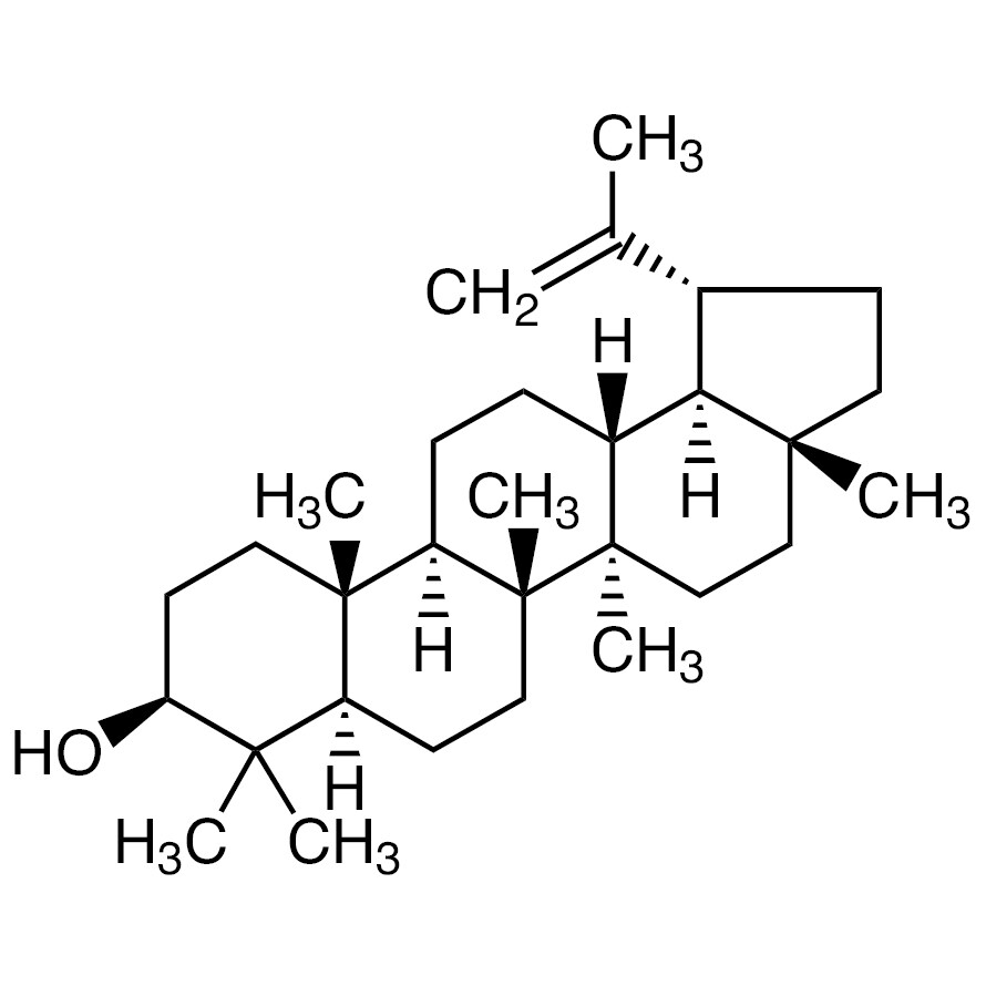 Lupeol&gt;98.0%(HPLC)25mg