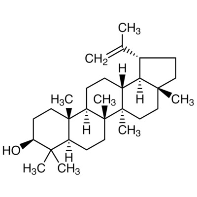 Lupeol&gt;98.0%(HPLC)100mg