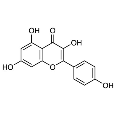 Kaempferol&gt;97.0%(HPLC)100mg