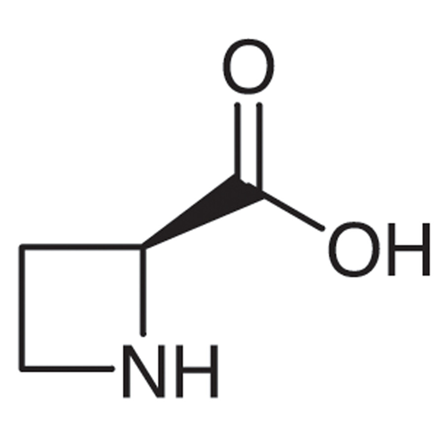 L-Azetidine-2-carboxylic Acid [Antagonist of L-Proline]&gt;98.0%(T)100mg