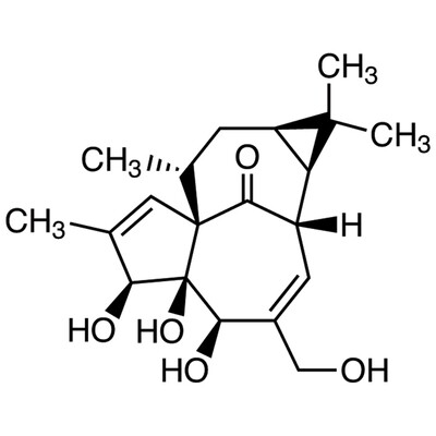 Ingenol&gt;99.0%(HPLC)10mg