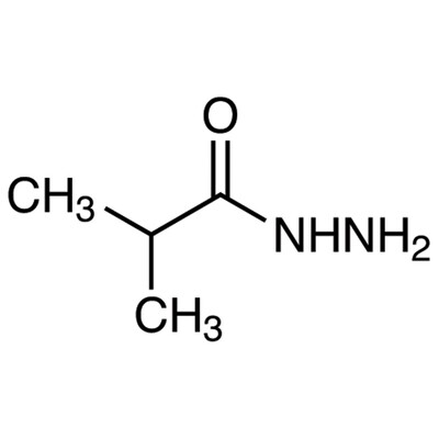 Isobutyric Acid Hydrazide&gt;98.0%(GC)5g