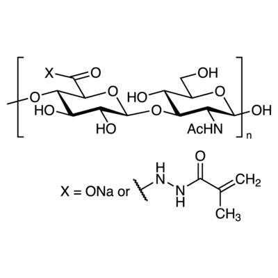 Hyaluronic Acid 2-(2-Methyl-1-oxo-2-propen-1-yl)hydrazide (degree of substitution 20%)1g