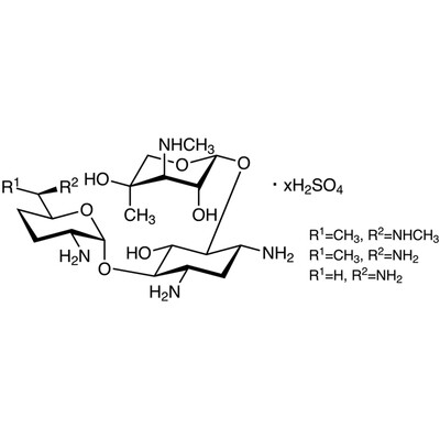 Gentamicin Sulfate1g
