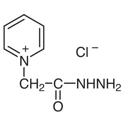 Girard&#39;s Reagent P&gt;95.0%(T)25g