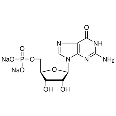 Guanosine 5&#39;-Monophosphate Disodium Salt&gt;98.0%(HPLC)(T)100g