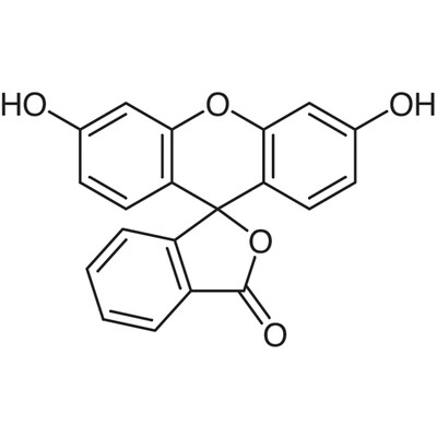 Fluorescein25g
