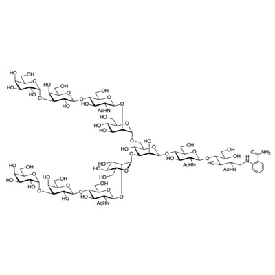 Gal alpha(1-3) N-Glycan 2AB (500pmol/vial)&gt;95.0%(HPLC)1vial