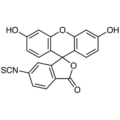 Fluorescein 6-Isothiocyanate (isomer II)&gt;97.0%(HPLC)(T)100mg