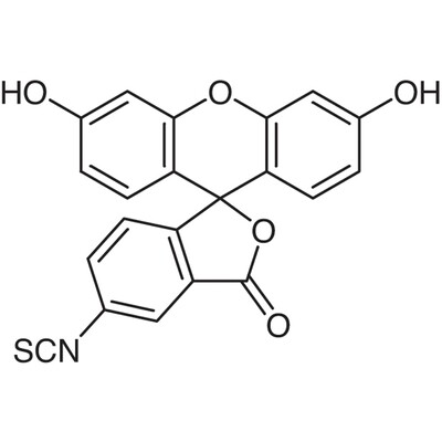 Fluorescein 5-Isothiocyanate (isomer I)&gt;97.0%(HPLC)(T)1g
