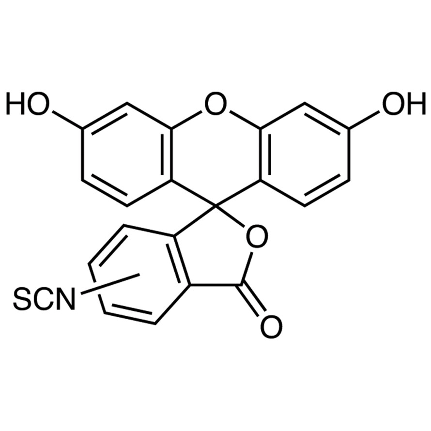 Fluorescein Isothiocyanate (mixture of 5- and 6- isomers)&gt;97.0%(HPLC)(T)1g