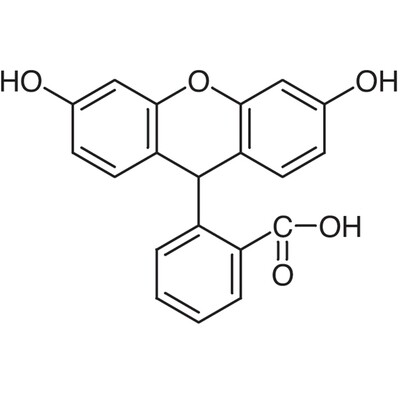 Fluorescin [Reagent for Oxydases and Peroxydases]&gt;95.0%(GC)5g