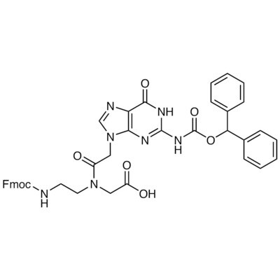 Fmoc-PNA-G(Bhoc)-OH&gt;98.0%(HPLC)(qNMR)1g