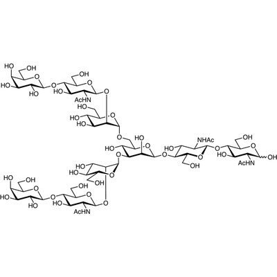 G2 Glycan&gt;95.0%(HPLC)1mg