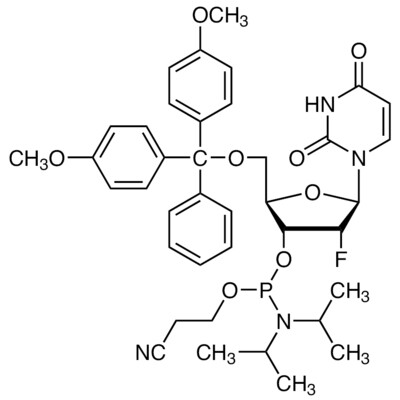 DMT-2&#39;-Fluoro-dU Phosphoramidite&gt;98.0%(HPLC)250mg
