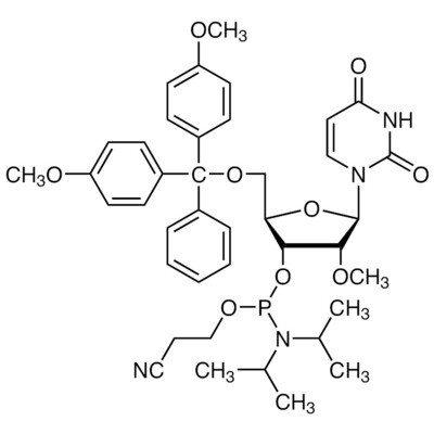DMT-2&#39;-O-methyl-rU Phosphoramidite&gt;98.0%(HPLC)250mg