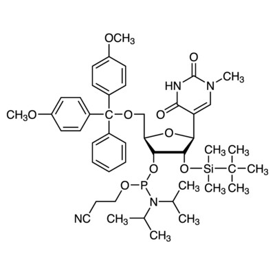 DMT-2&#39;-O-TBDMS-1-methylpseudouridine Phosphoramidite&gt;95.0%(HPLC)(qNMR)250mg