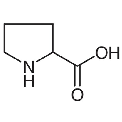 DL-Proline&gt;99.0%(HPLC)(T)1g