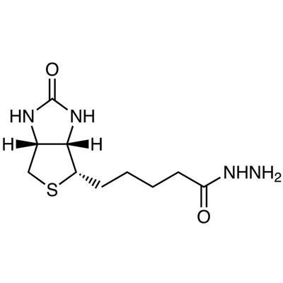 Biotin Hydrazide&gt;98.0%(HPLC)25mg