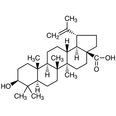 Betulinic Acid&gt;97.0%(GC)(T)1g