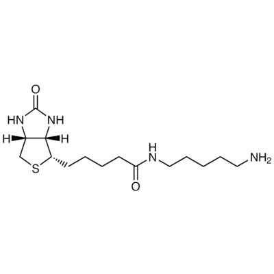Biotin-C5-Amine (2mg×5)1set
