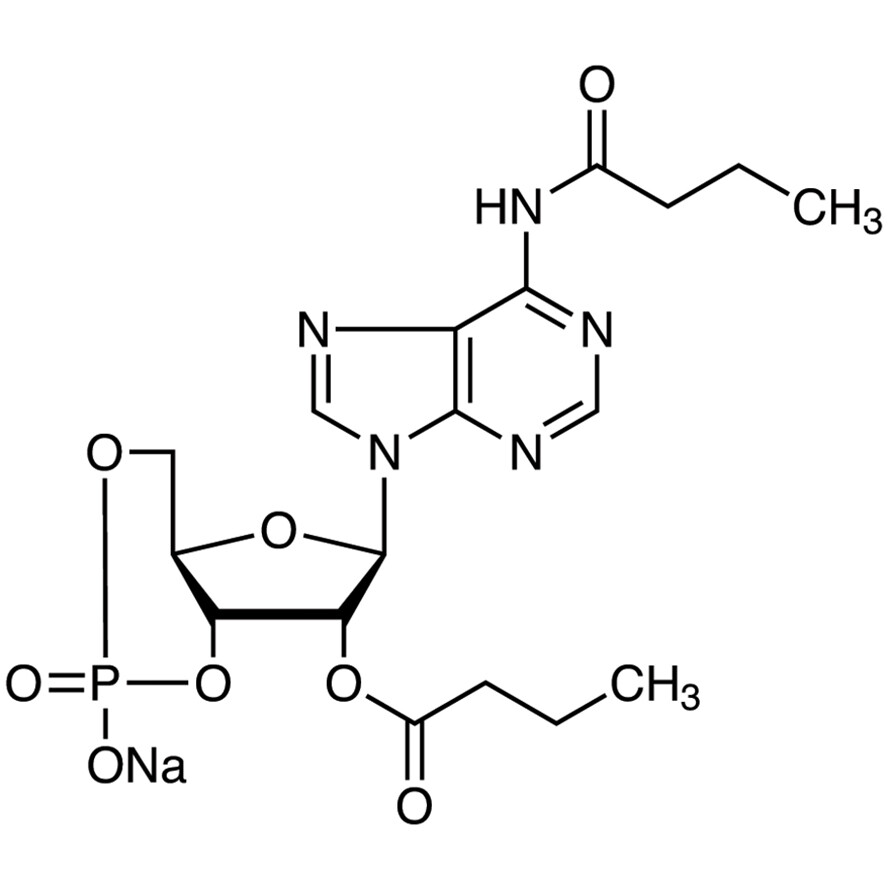 Bucladesine Sodium Salt&gt;97.0%(HPLC)25mg