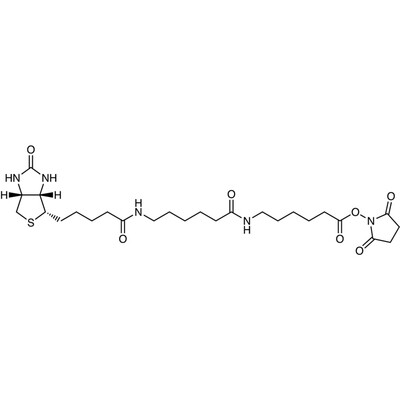 Biotin-LC-LC-NHS (2mg*5)1set