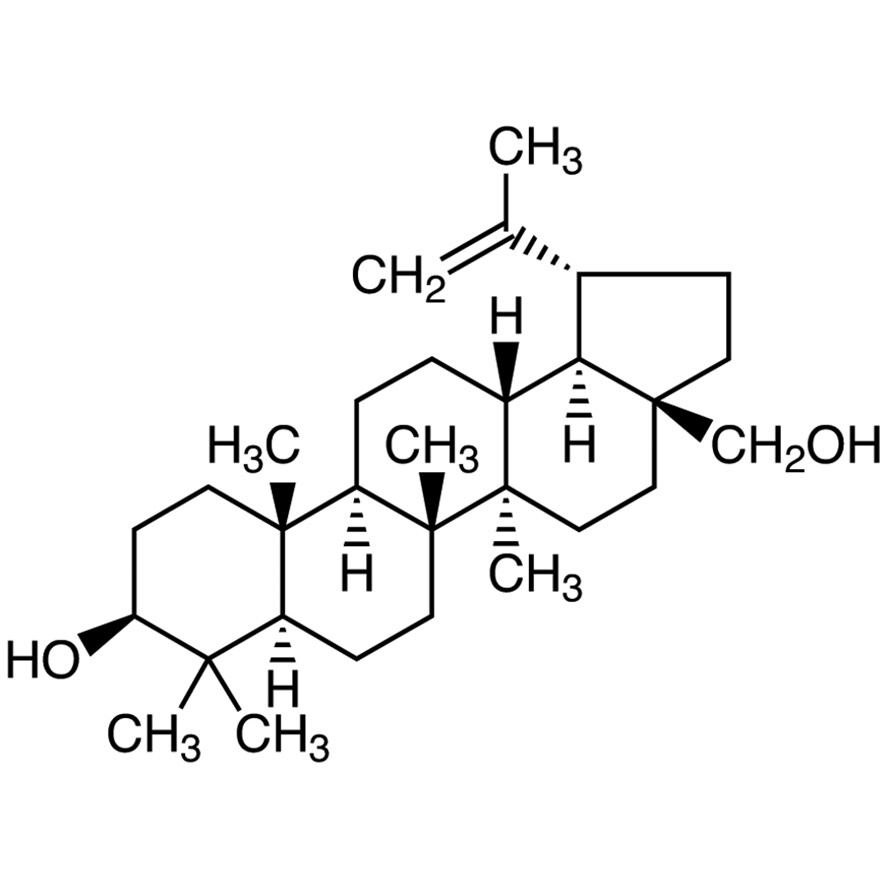 Betulinol&gt;97.0%(GC)100mg