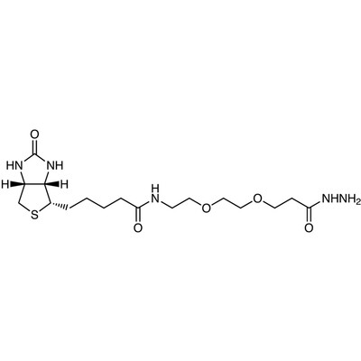 Biotin-PEG2-Hydrazide&gt;92.0%(HPLC)50mg