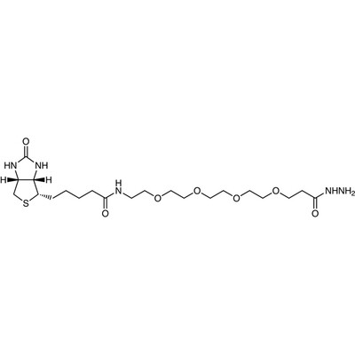 Biotin-PEG4-Hydrazide&gt;94.0%(HPLC)10mg