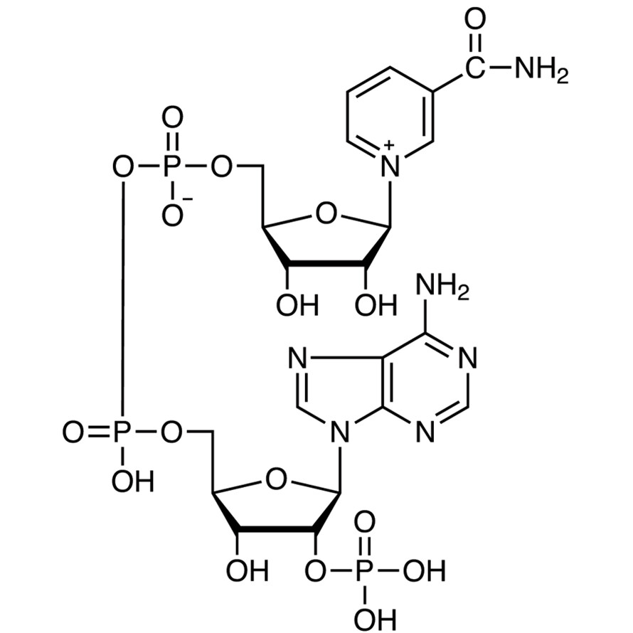 beta-Nicotinamide Adenine Dinucleotide Phosphate [for Biochemical Research]&gt;83.0%(HPLC)100mg