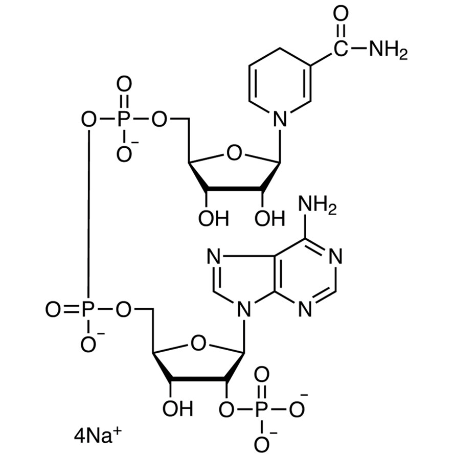 beta-Nicotinamide Adenine Dinucleotide Phosphate Tetrasodium Salt reduced form [for Biochemical Research]&gt;90.0%(HPLC)100mg