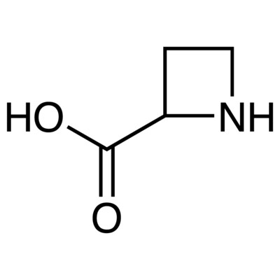 Azetidine-2-carboxylic Acid&gt;98.0%(T)5g