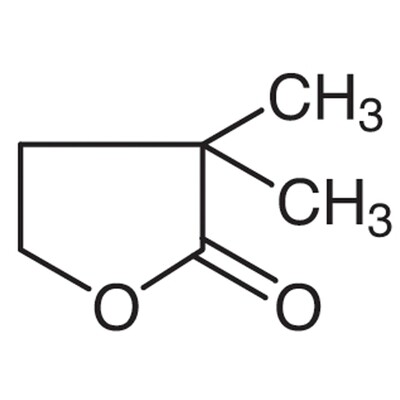 alpha,alpha-Dimethyl-gamma-butyrolactone&gt;97.0%(GC)5g