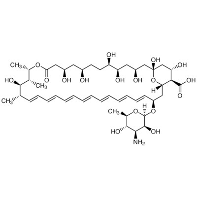 Amphotericin B&gt;80.0%(HPLC)1g