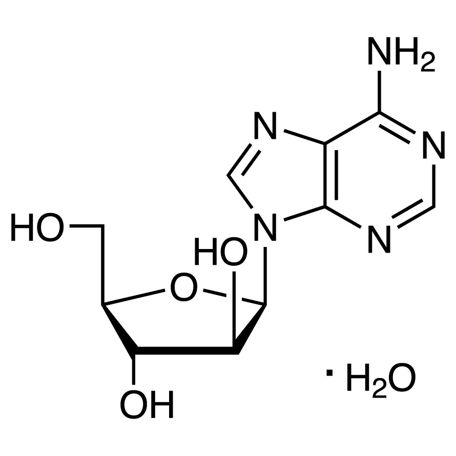 Vidarabine Monohydrate&gt;98.0%(HPLC)(T)1g
