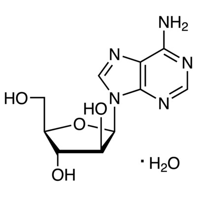 Vidarabine Monohydrate&gt;98.0%(HPLC)(T)1g