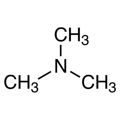 Trimethylamine (ca.8% in N,N-Dimethylformamide)100g
