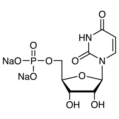 Uridine 5&#39;-Monophosphate Disodium Salt&gt;98.0%(HPLC)5g