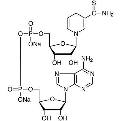 Thionicotinamide Adenine Dinucleotide Disodium Salt reduced form [for Biochemical Research]&gt;93.0%(HPLC)100mg