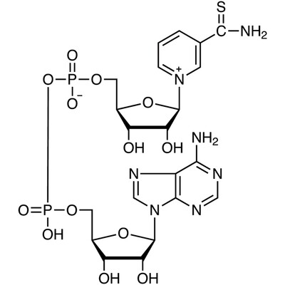 Thionicotinamide Adenine Dinucleotide oxidized form [for Biochemical Research]&gt;90.0%(HPLC)100mg