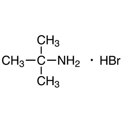 tert-Butylamine Hydrobromide&gt;98.0%(N)(T)1g