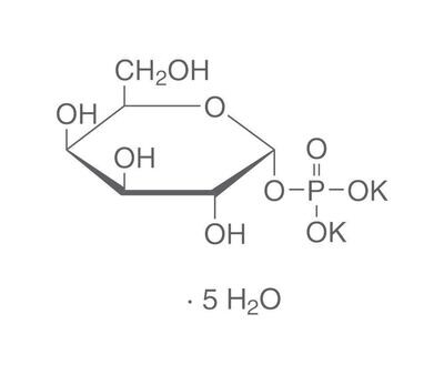 alpha-D-galactose-1-phosphate di, sel de potassium pentahydraté, min 99 %, Biochem.