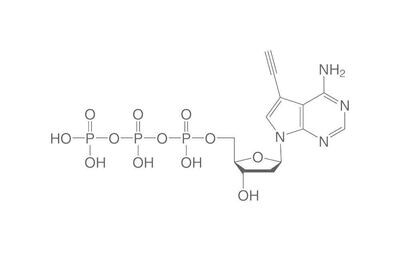 Alkyne-dATP, ≥95%, 100 µl, confezione in plastica.