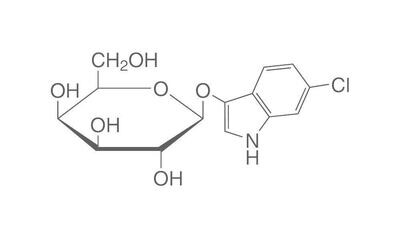 6-Chlor-3-indoxyl-beta-D-galactopyran., min. 98 %, für die Biochemie, 25 mg