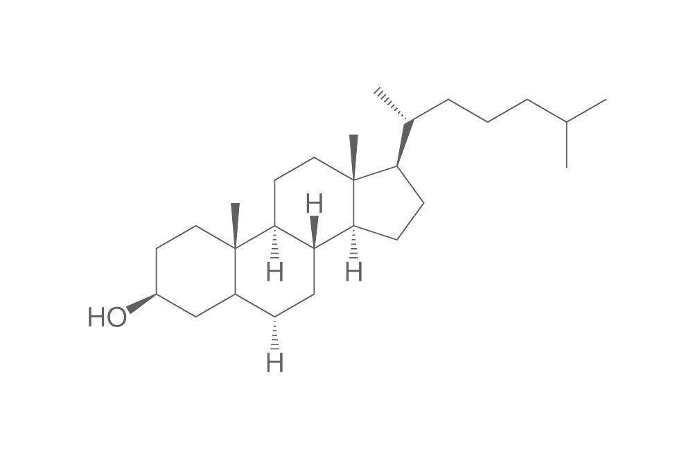 5-alpha-cholestan-3beta-ol, min. 95%, 1 g, glass packaging